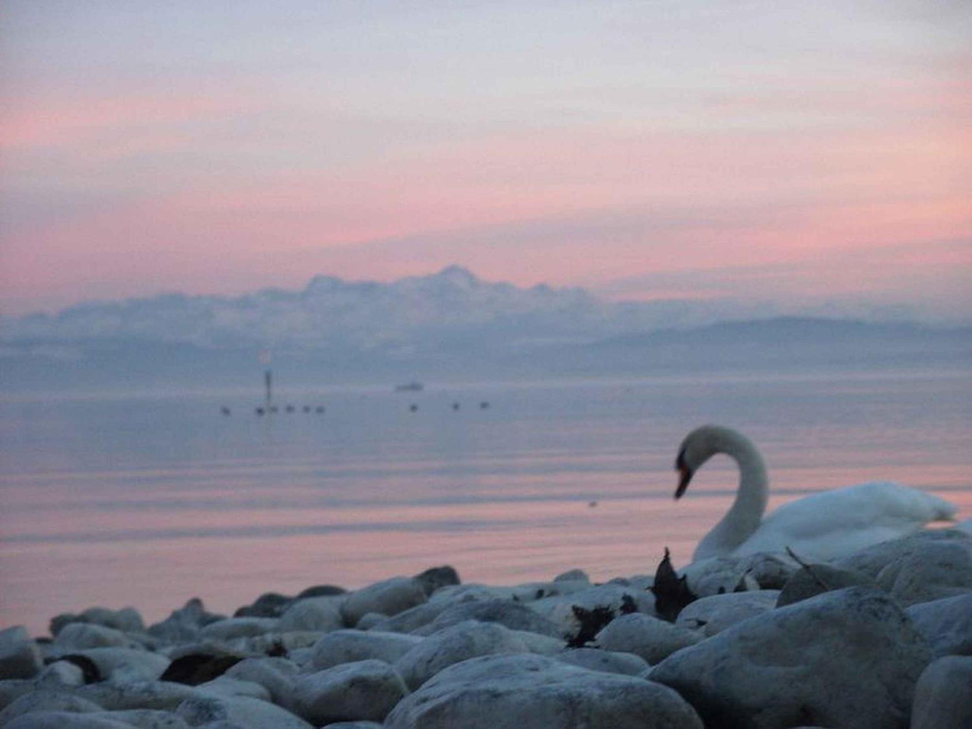 Apartmán Haus Alpenblick Immenstaad am Bodensee Exteriér fotografie
